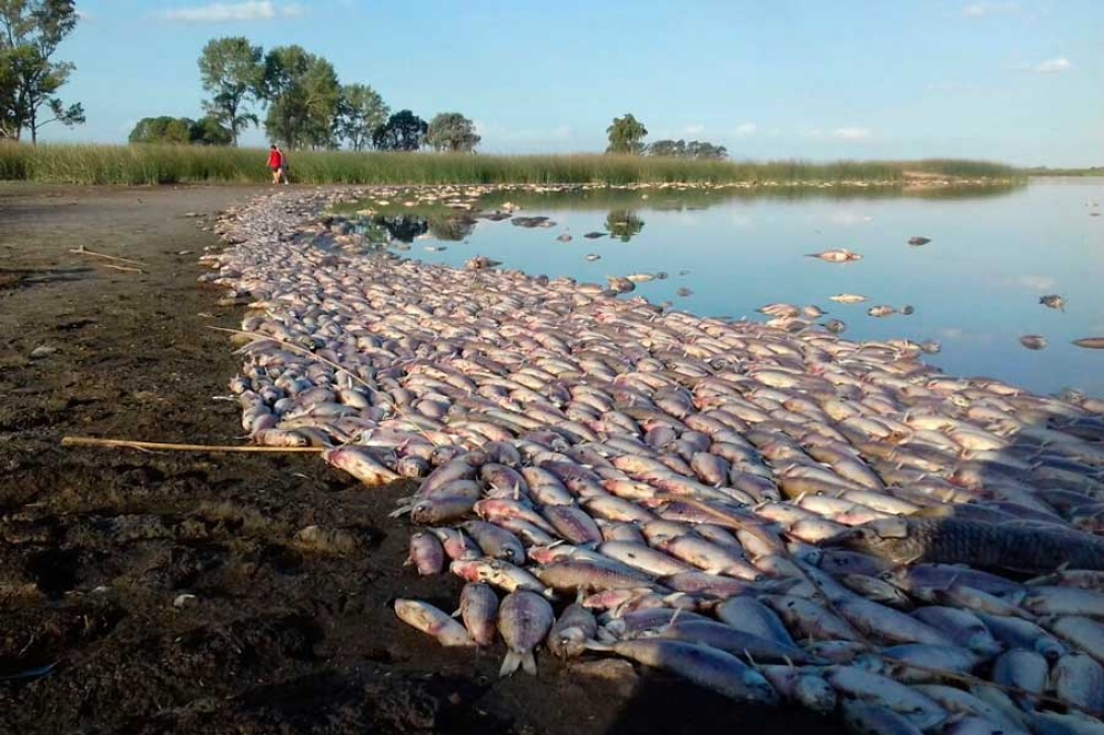 Abandono y desidia en la Laguna de Lobos - NacPop Cañuelas